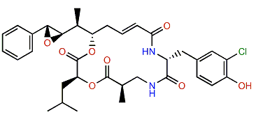 Cryptophycin 16